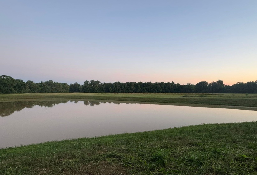 225 BIBURY LN, Eads, Tennessee 38028, 6 Bedrooms Bedrooms, 11 Rooms Rooms,3.1 BathroomsBathrooms,Residential,For Sale,BIBURY,10188904