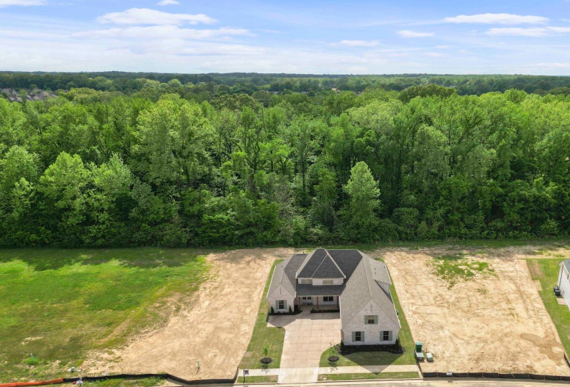 5371 KAITLYNN ROSE DR, Lakeland, Tennessee 38002, 4 Bedrooms Bedrooms, 9 Rooms Rooms,3 BathroomsBathrooms,Residential,For Sale,KAITLYNN ROSE,10209607