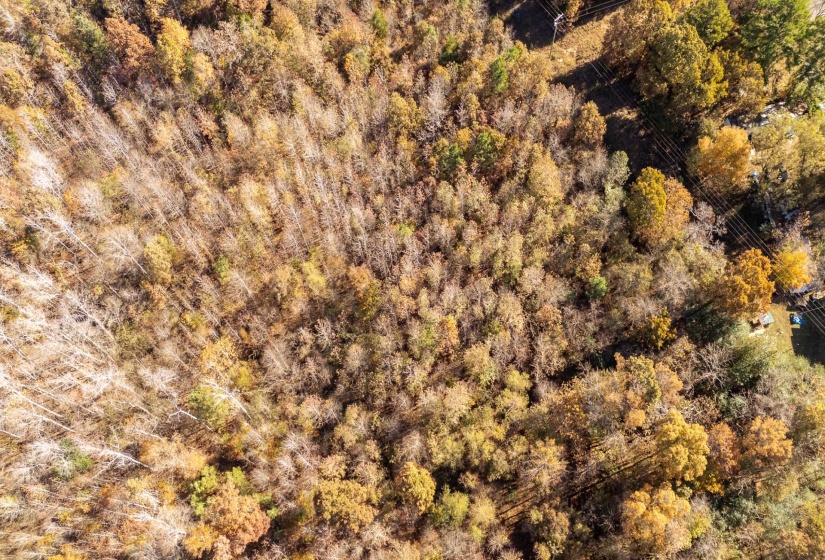 Aerial view of property and surrounding area