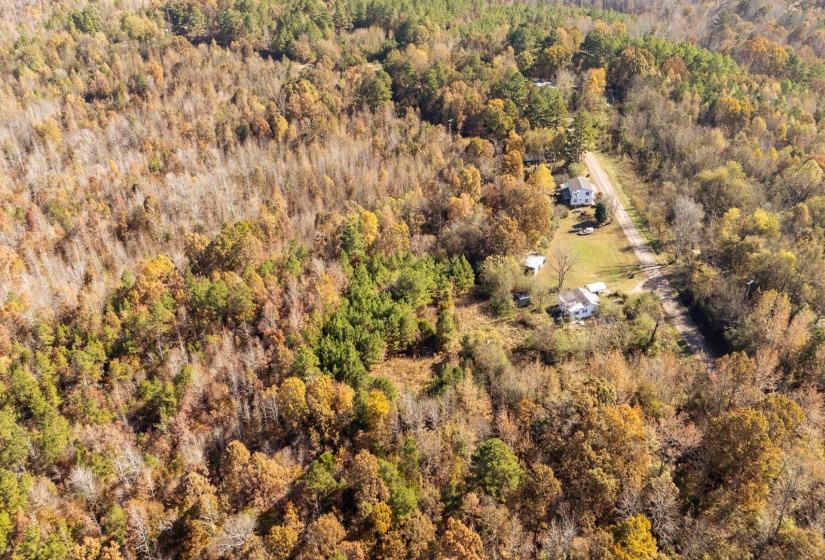 Bird's eye view of a heavily wooded area
