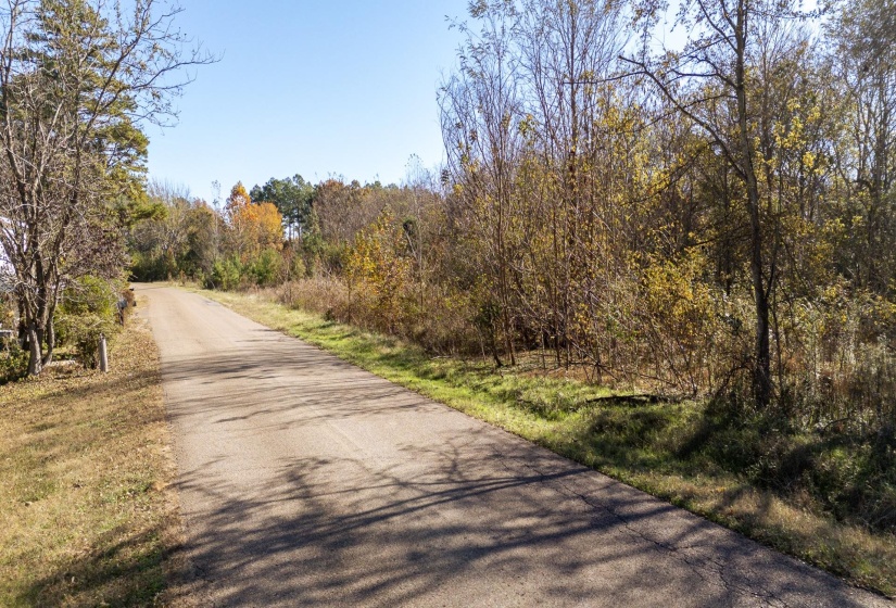 View of asphalt road featuring a view of trees