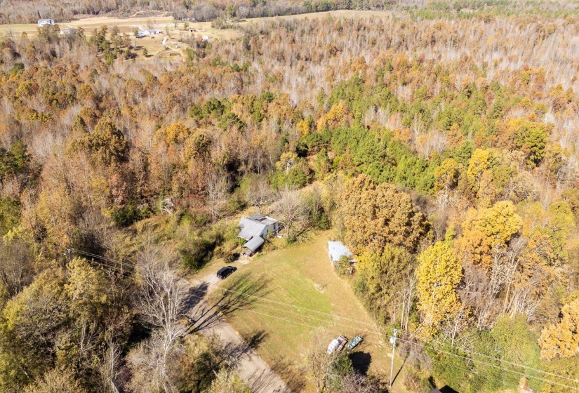 Drone / aerial view of a forest
