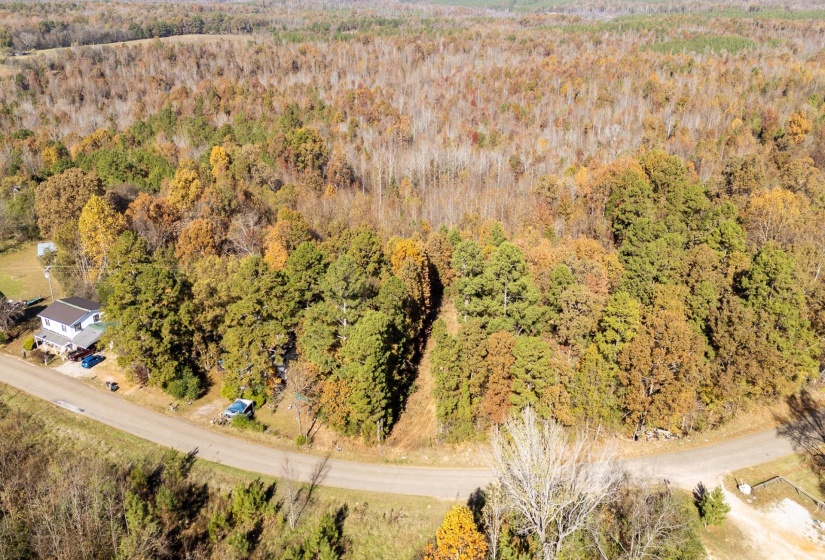 Aerial view of property and surrounding area with a forest