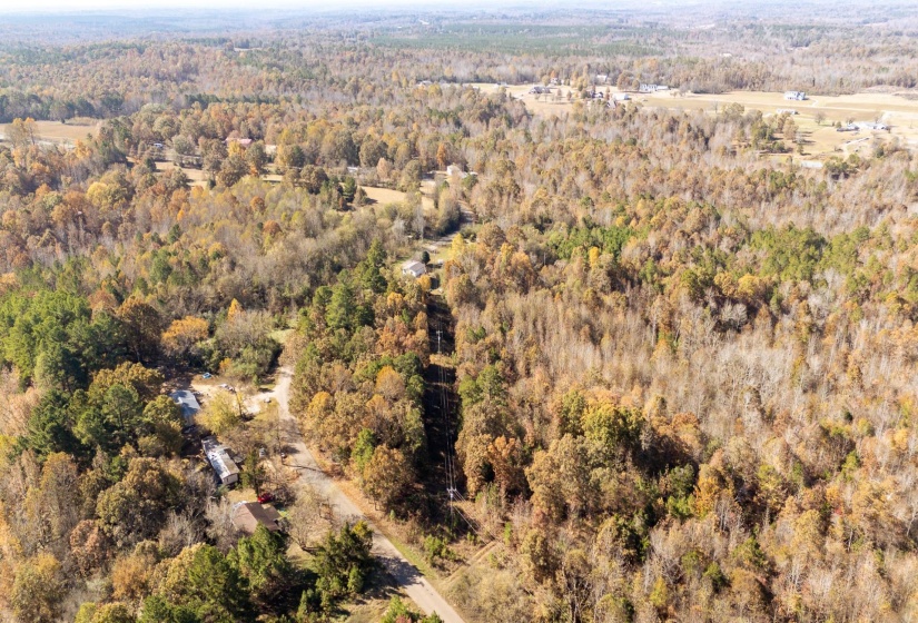 Aerial view of property and surrounding area with a forest