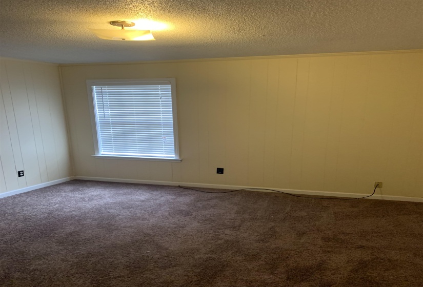 Spare room featuring a textured ceiling, carpet floors, crown molding, and wood walls