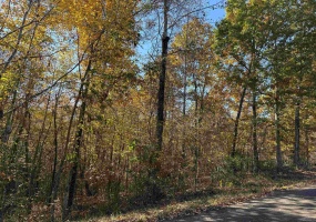 2 WOODS CLIFF LN, Savannah, Tennessee 38372, ,Land,For Sale,WOODS CLIFF,10209739