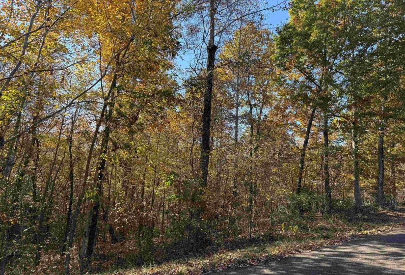 2 WOODS CLIFF LN, Savannah, Tennessee 38372, ,Land,For Sale,WOODS CLIFF,10209739