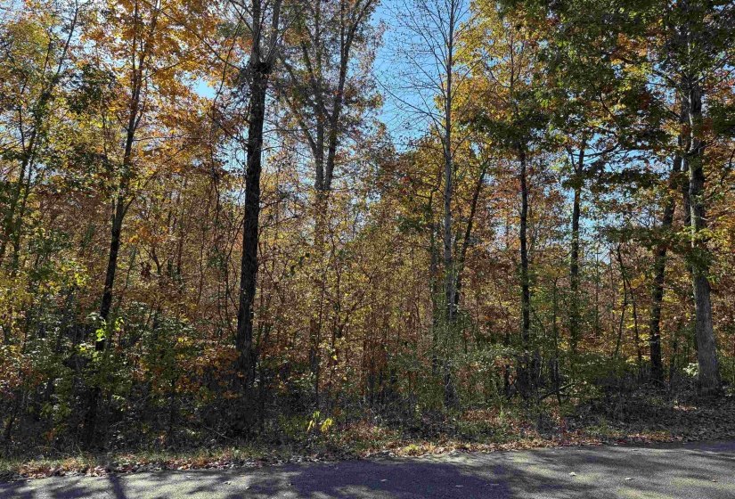 2 WOODS CLIFF LN, Savannah, Tennessee 38372, ,Land,For Sale,WOODS CLIFF,10209739