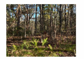 151 WOODRUN CIR, Middleton, Tennessee 38052, ,Land,For Sale,WOODRUN,10209745