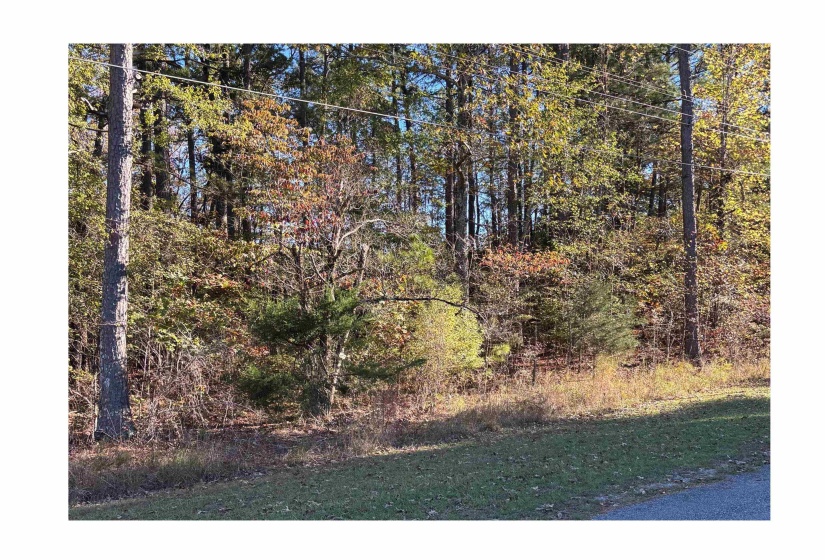151 WOODRUN CIR, Middleton, Tennessee 38052, ,Land,For Sale,WOODRUN,10209745