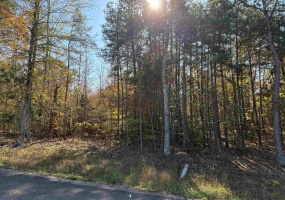 3 WOODS CLIFF LN, Savannah, Tennessee 38372, ,Land,For Sale,WOODS CLIFF,10209751