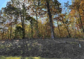 4 WOODS CLIFF LN, Savannah, Tennessee 38372, ,Land,For Sale,WOODS CLIFF,10209783 4 WOODS CLIFF LN, Savannah, Tennessee 38372, ,Land,For Sale,WOODS CLIFF,10209783