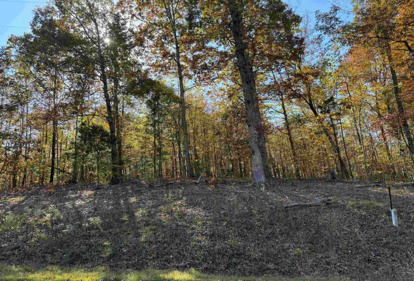 4 WOODS CLIFF LN, Savannah, Tennessee 38372, ,Land,For Sale,WOODS CLIFF,10209783