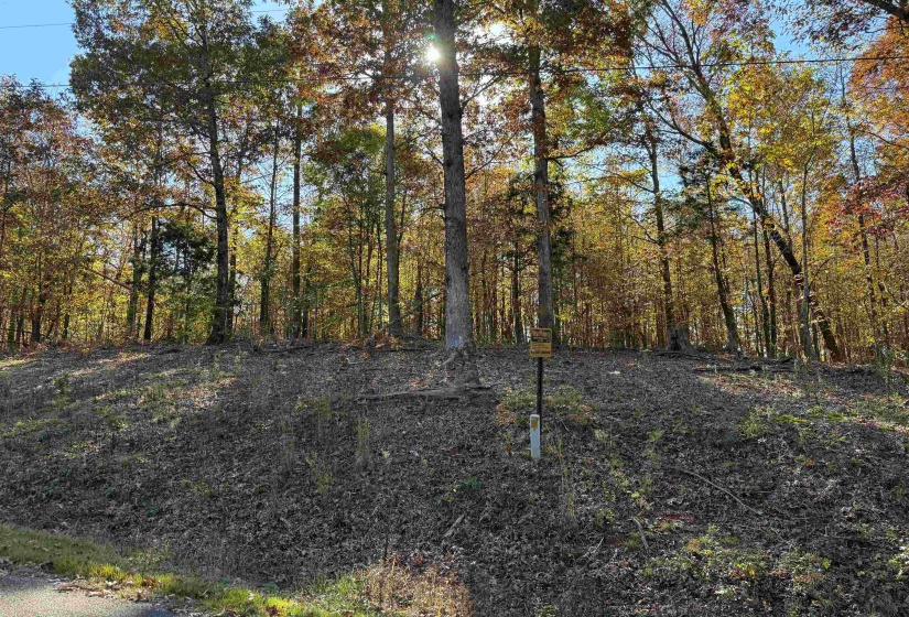 4 WOODS CLIFF LN, Savannah, Tennessee 38372, ,Land,For Sale,WOODS CLIFF,10209783