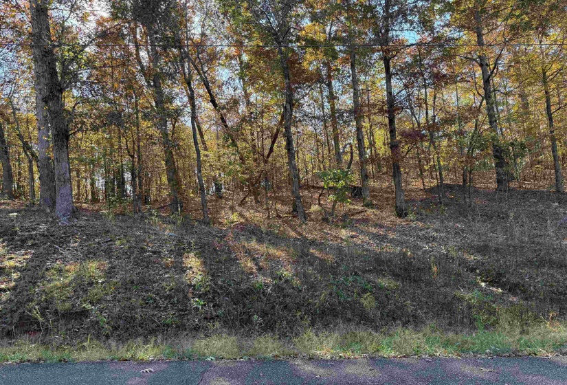 5 WOODS CLIFF LN, Savannah, Tennessee 38372, ,Land,For Sale,WOODS CLIFF,10209890