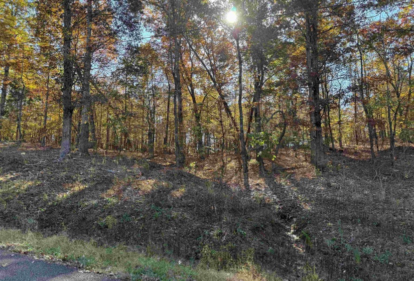 5 WOODS CLIFF LN, Savannah, Tennessee 38372, ,Land,For Sale,WOODS CLIFF,10209890