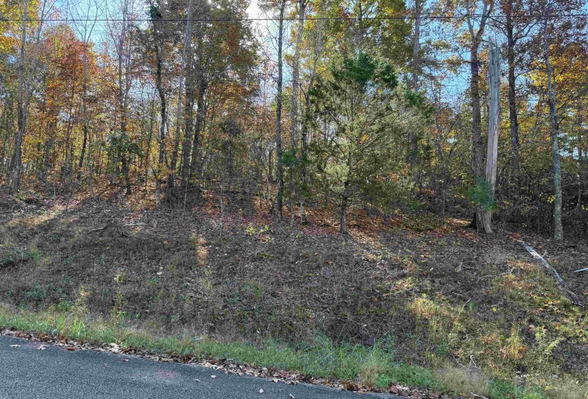 6 WOODS CLIFF LN, Savannah, Tennessee 38372, ,Land,For Sale,WOODS CLIFF,10209893