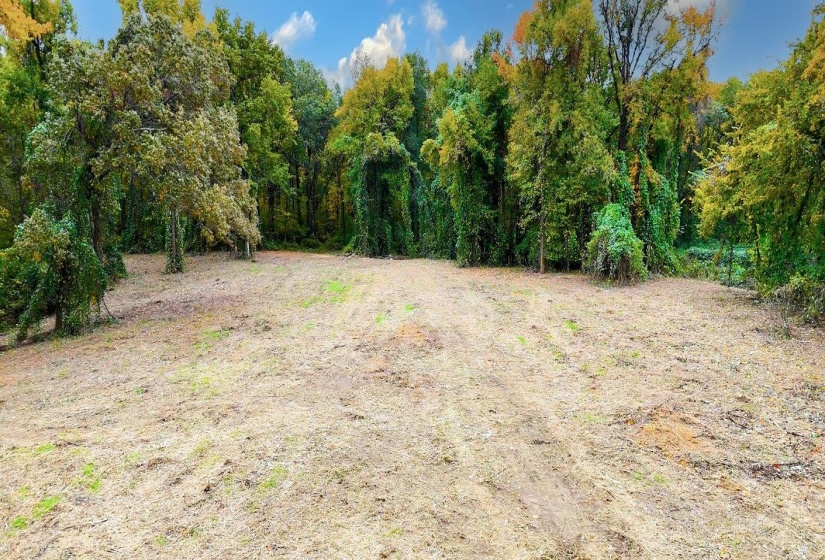 View of yard with a wooded view