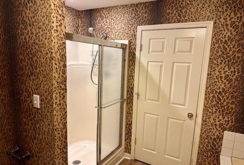 187 COLLINS ST, Ripley, Tennessee 38063, 3 Bedrooms Bedrooms, 7 Rooms Rooms,2 BathroomsBathrooms,Residential,For Sale,COLLINS,10209885