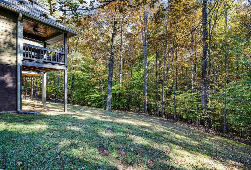 View of green lawn with ceiling fan