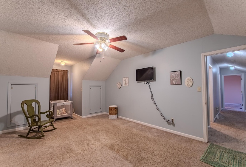 Unfurnished room with lofted ceiling, carpet flooring, a textured ceiling, and a ceiling fan