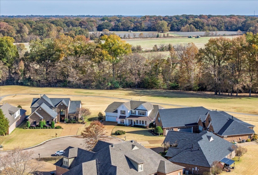 250 LEWIS FAIRWAY CIR, Oakland, Tennessee 38060, 4 Bedrooms Bedrooms, 9 Rooms Rooms,2.1 BathroomsBathrooms,Residential,For Sale,LEWIS FAIRWAY,10209898