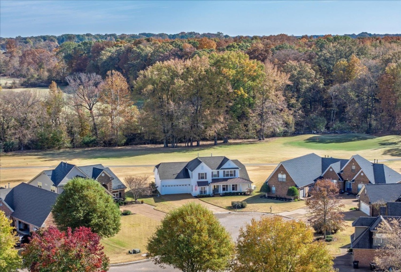 250 LEWIS FAIRWAY CIR, Oakland, Tennessee 38060, 4 Bedrooms Bedrooms, 9 Rooms Rooms,2.1 BathroomsBathrooms,Residential,For Sale,LEWIS FAIRWAY,10209898