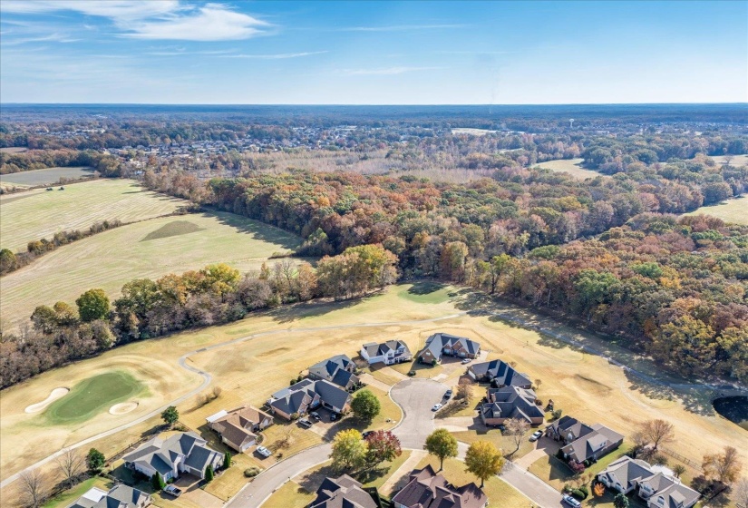 250 LEWIS FAIRWAY CIR, Oakland, Tennessee 38060, 4 Bedrooms Bedrooms, 9 Rooms Rooms,2.1 BathroomsBathrooms,Residential,For Sale,LEWIS FAIRWAY,10209898