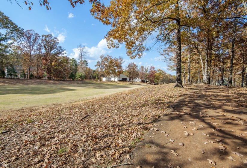 215 SAINT ANDREWS CT, Counce, Tennessee 38326-4243, 3 Bedrooms Bedrooms, 10 Rooms Rooms,3 BathroomsBathrooms,Residential,For Sale,SAINT ANDREWS,10209914