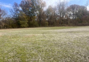 00 SCHOLES LN, Stanton, Tennessee 38069, ,Land,For Sale,SCHOLES,10209925