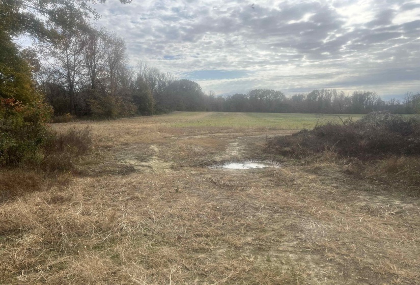 00 SCHOLES LN, Stanton, Tennessee 38069, ,Land,For Sale,SCHOLES,10209925