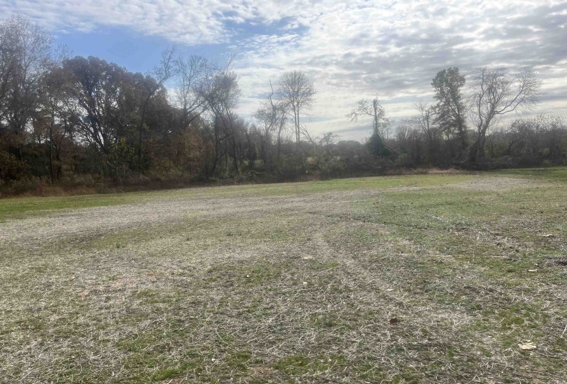 00 SCHOLES LN, Stanton, Tennessee 38069, ,Land,For Sale,SCHOLES,10209925