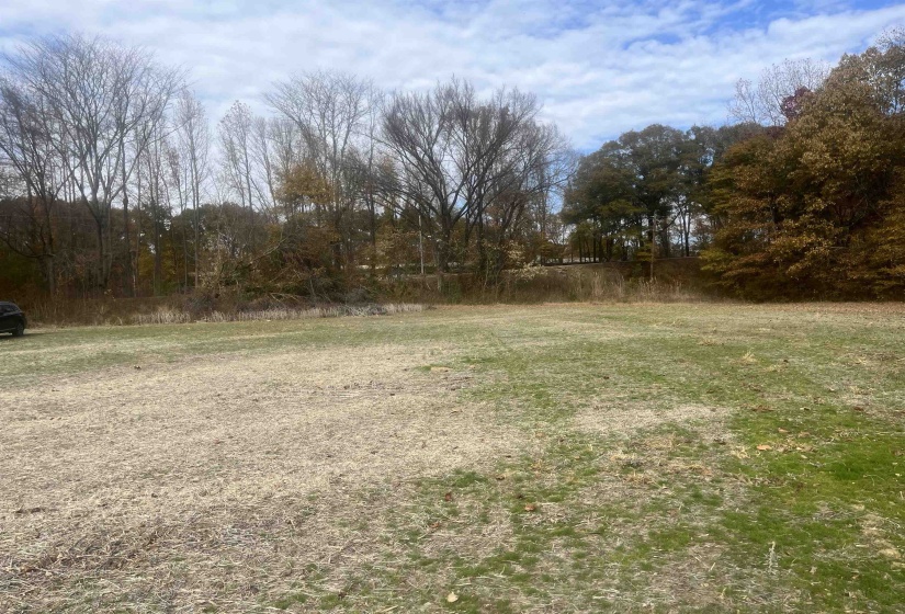 00 SCHOLES LN, Stanton, Tennessee 38069, ,Land,For Sale,SCHOLES,10209925