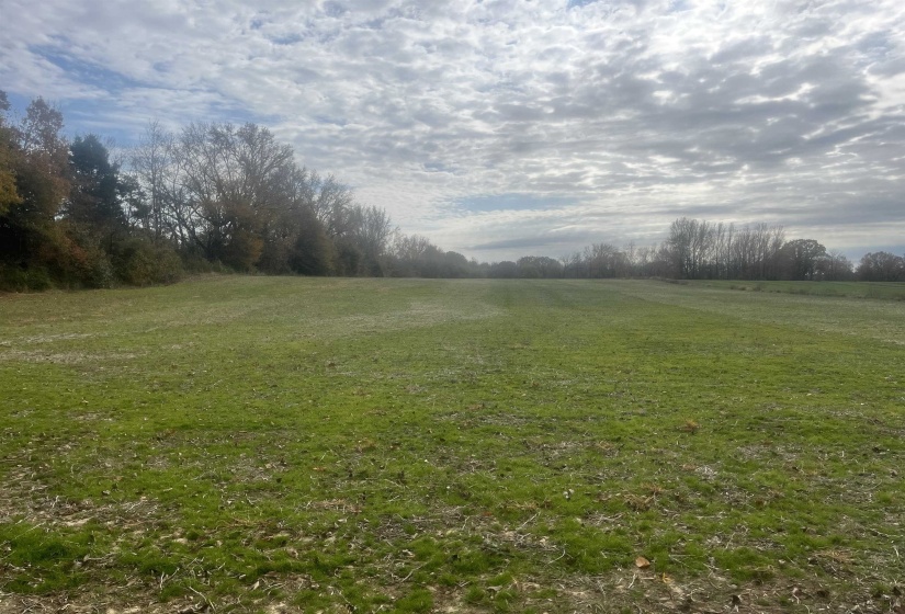00 SCHOLES LN, Stanton, Tennessee 38069, ,Land,For Sale,SCHOLES,10209925