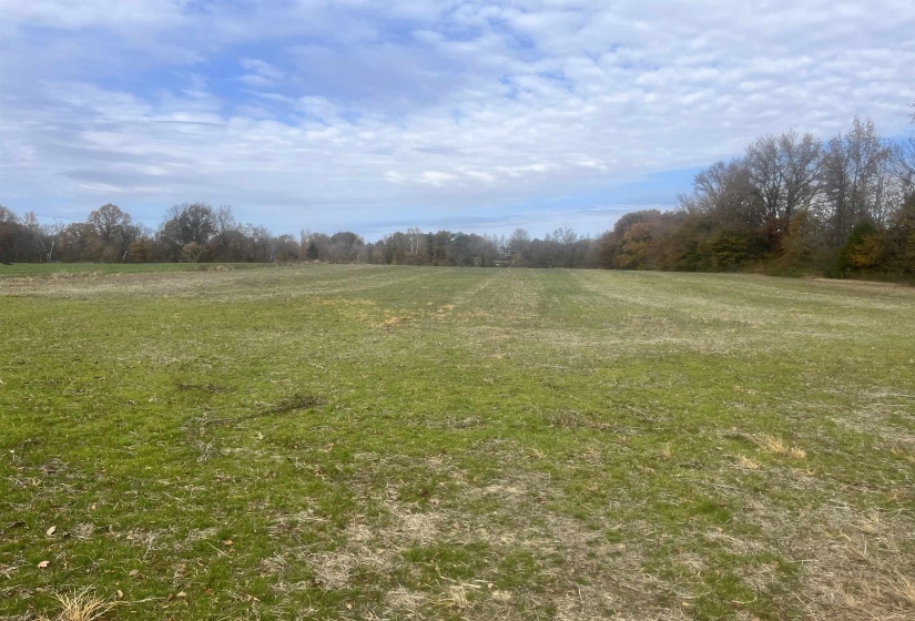 00 SCHOLES LN, Stanton, Tennessee 38069, ,Land,For Sale,SCHOLES,10209925