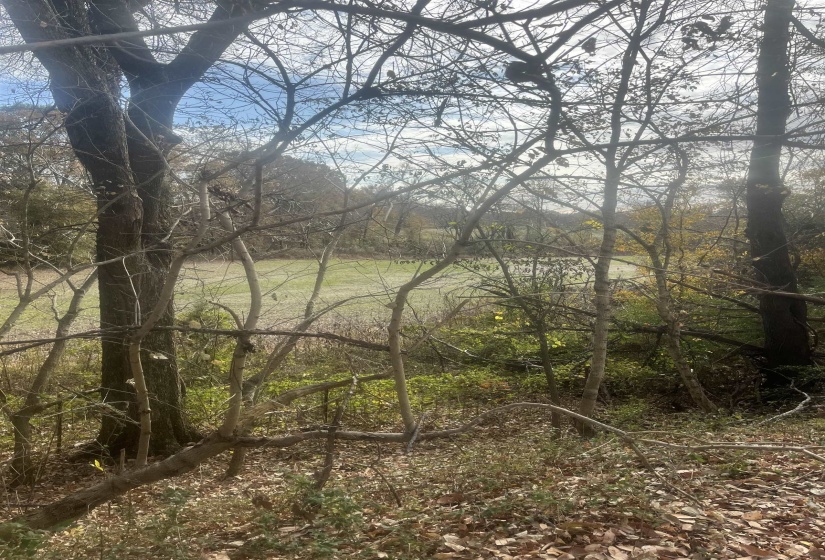 00 SCHOLES LN, Stanton, Tennessee 38069, ,Land,For Sale,SCHOLES,10209925