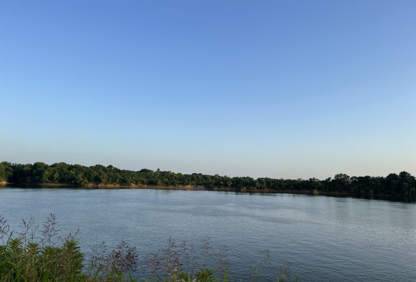 Water view with a forest