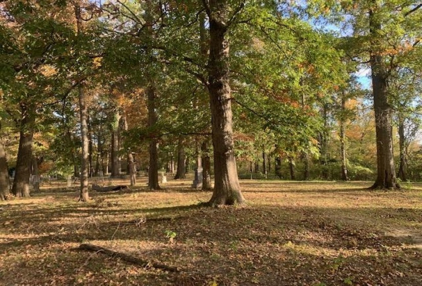 00 RALEIGH-LAGRANGE RD, Memphis, Tennessee 38128, ,Land,For Sale,RALEIGH-LAGRANGE,10209933