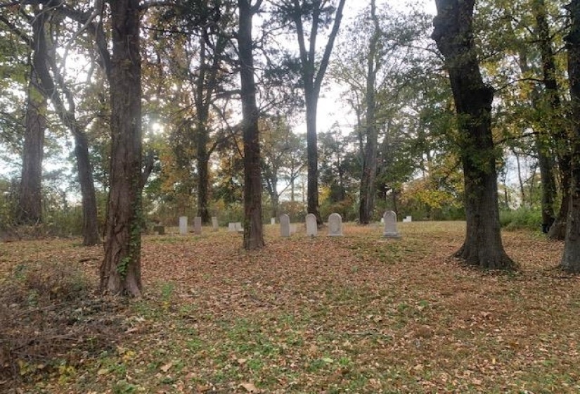 00 RALEIGH-LAGRANGE RD, Memphis, Tennessee 38128, ,Land,For Sale,RALEIGH-LAGRANGE,10209933