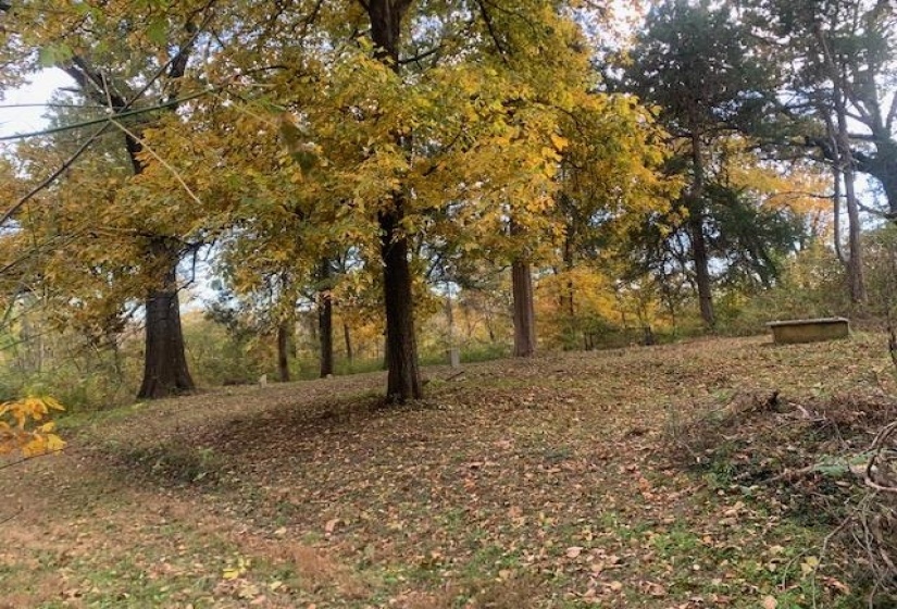 00 RALEIGH-LAGRANGE RD, Memphis, Tennessee 38128, ,Land,For Sale,RALEIGH-LAGRANGE,10209933