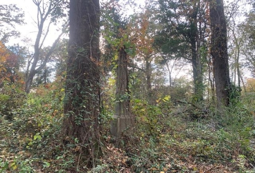 00 RALEIGH-LAGRANGE RD, Memphis, Tennessee 38128, ,Land,For Sale,RALEIGH-LAGRANGE,10209933