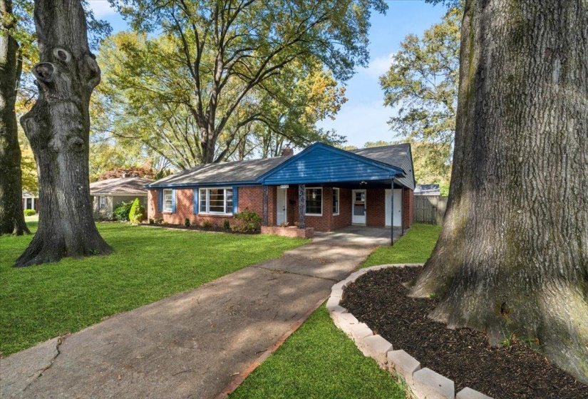 Ranch-style home with a carport, driveway, a porch, and brick siding