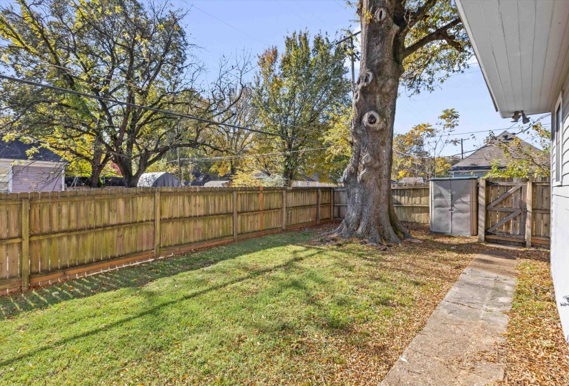 Fenced backyard with a gate