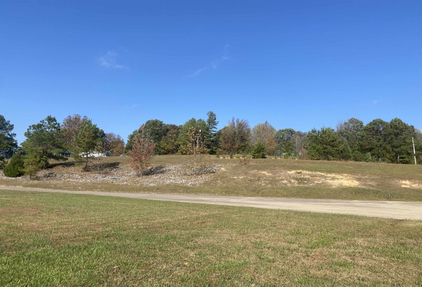 795 CENTER POINT RD, Reagan, Tennessee 38362, ,Commercial/industrial,For Sale,CENTER POINT,10209985