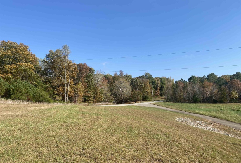 795 CENTER POINT RD, Reagan, Tennessee 38362, ,Commercial/industrial,For Sale,CENTER POINT,10209985
