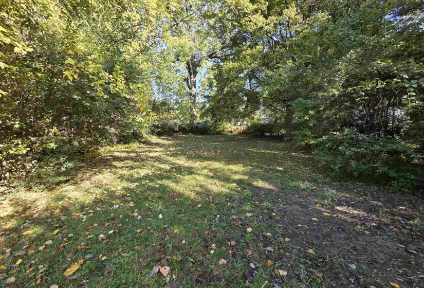 View of yard with a forest view