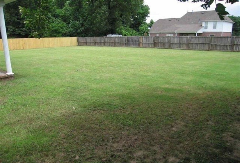 View of fenced backyard