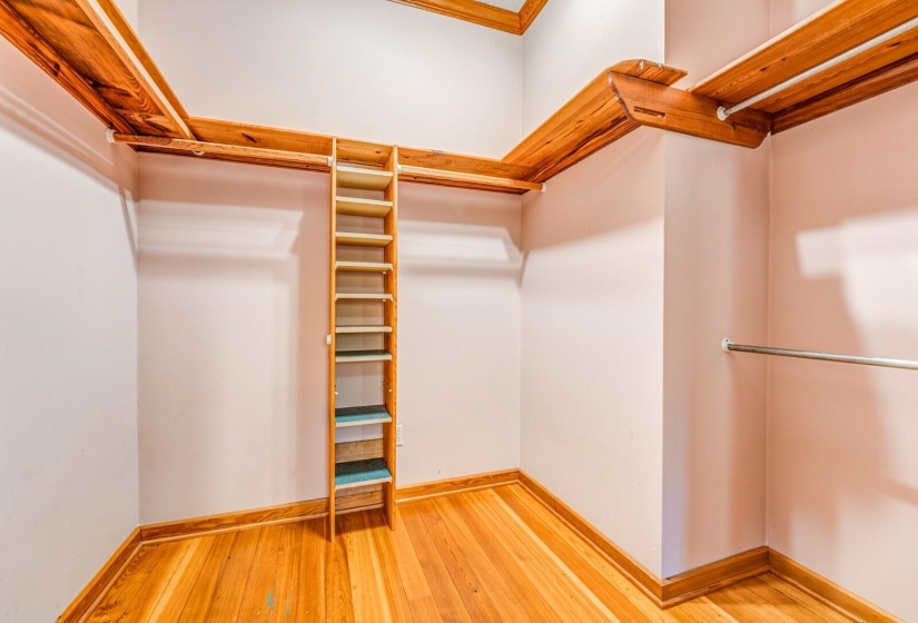 Spacious closet featuring light wood finished floors