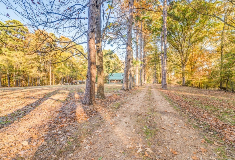 View of dirt / gravel driveway