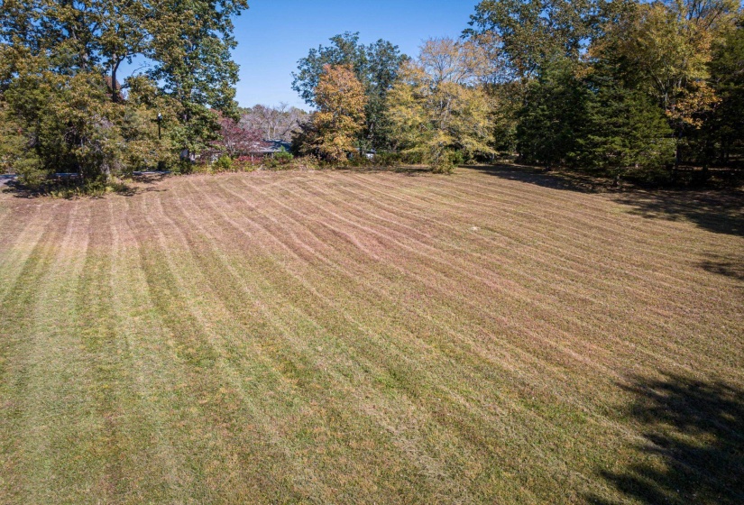0 MAIN ST, Parsons, Tennessee 38363, 0 , 0 ,0,Land,For Sale,MAIN,0,10210082